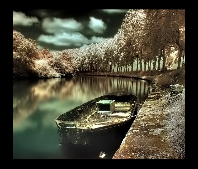 the gilded river by Anrold 20 Stunning Infrared Pictures 